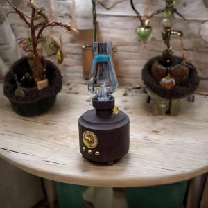 Everton RT-765 Gaz Lambası Görünümlü Nostaljik Radyo